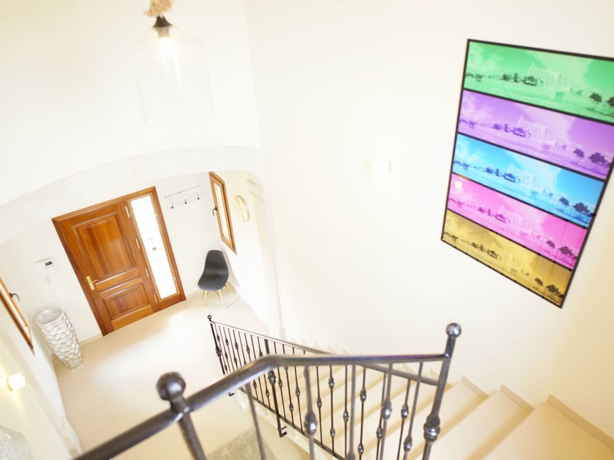 Luxury Finca Llucmajor – 8000m² avec piscine - Photo 16