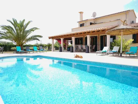 Location maison à Llucmajor, Nettes Ferienhaus in Llucmajor mit Großer Terrasse