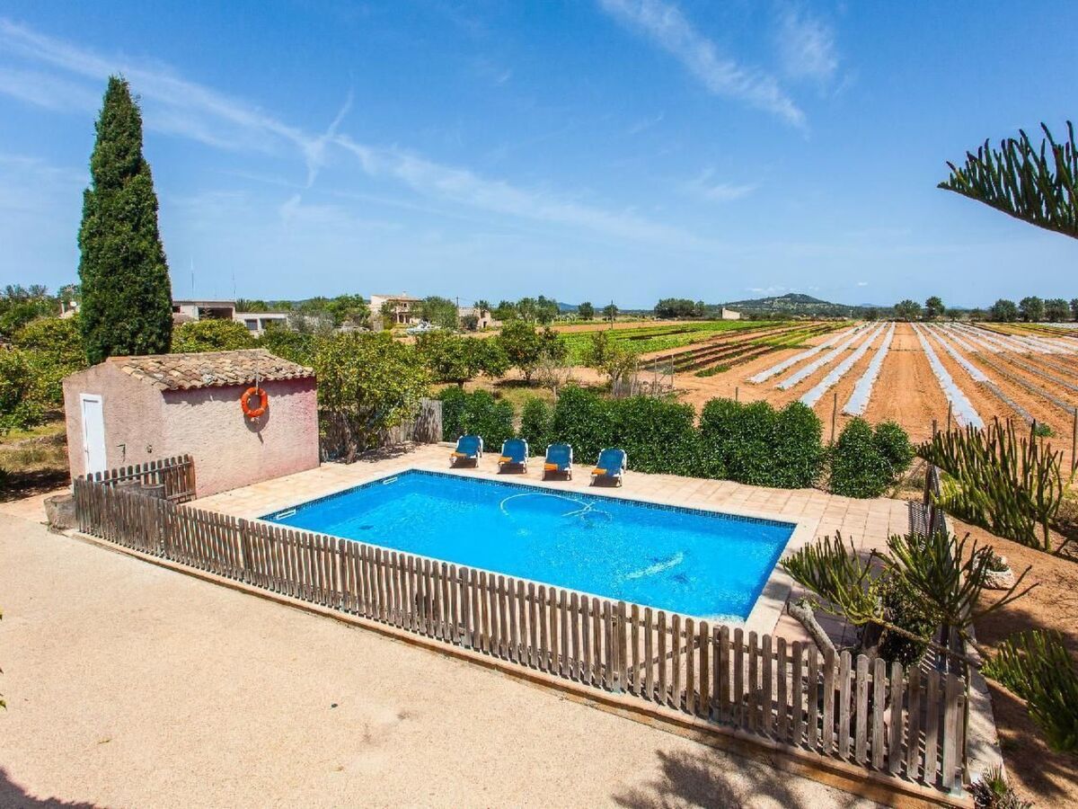 Finca Torro Perdido – Maison 6 chambres avec piscine à Porreres - Photo 3