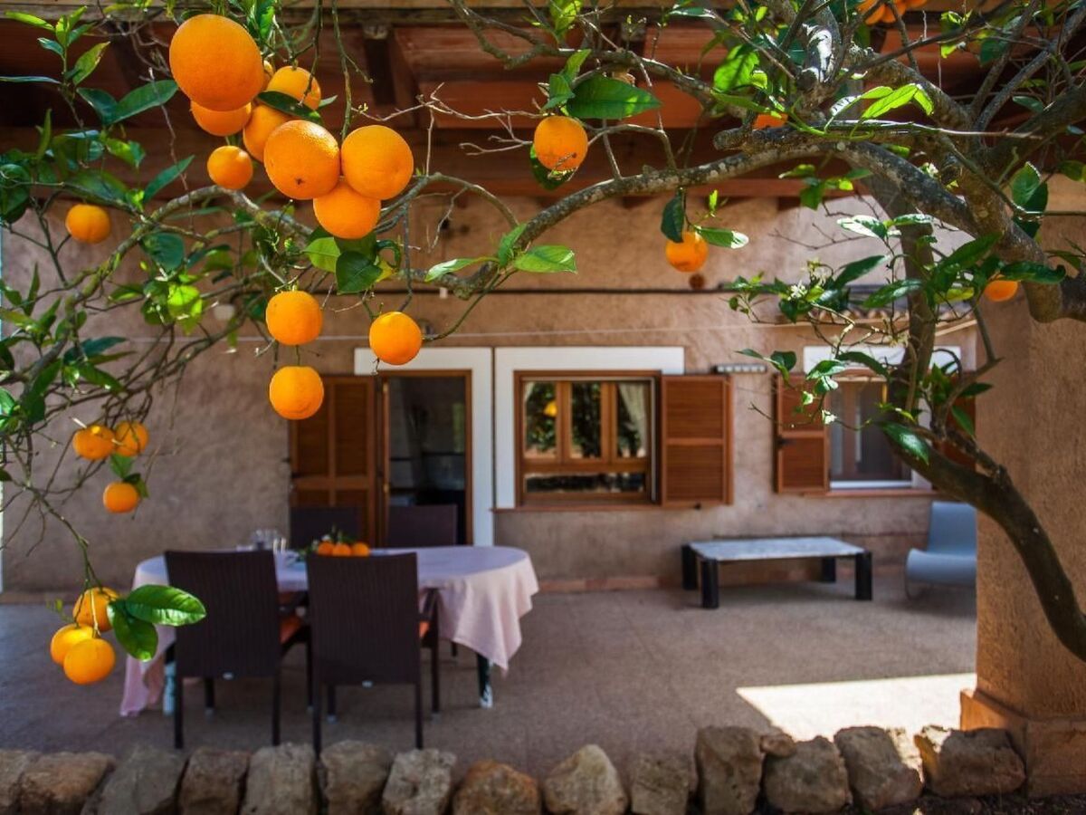 Finca Torro Perdido – Maison 6 chambres avec piscine à Porreres - Photo 7