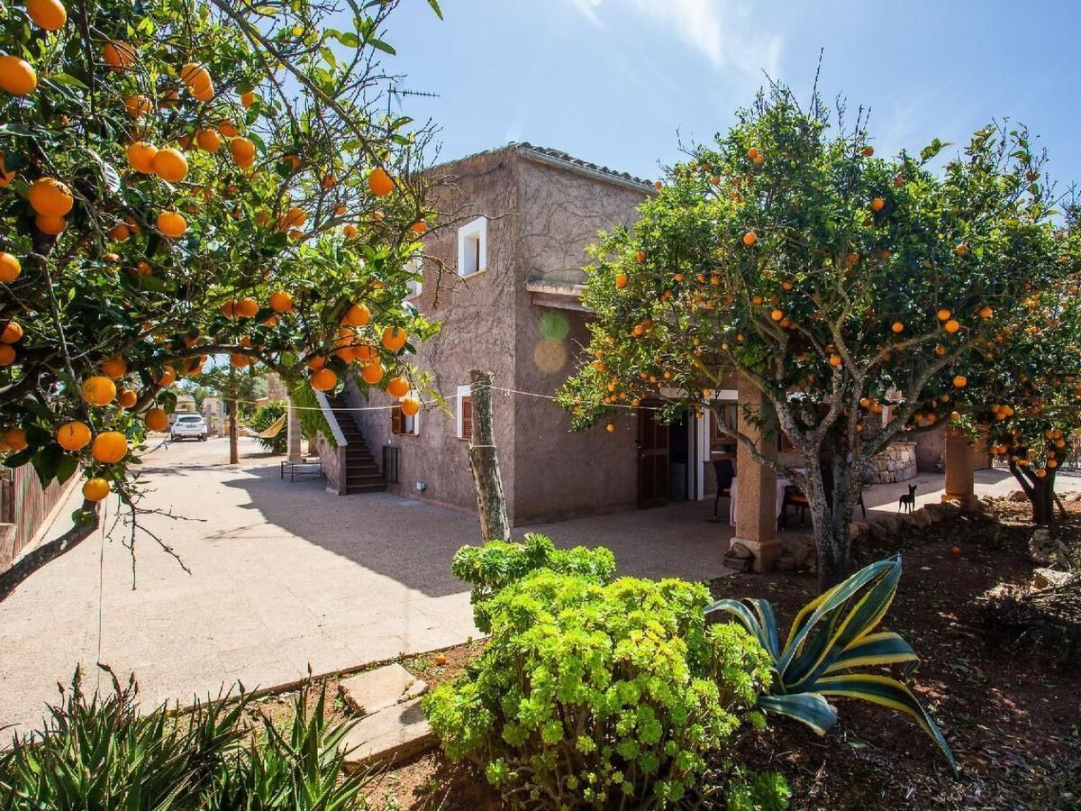Finca Torro Perdido – Maison 6 chambres avec piscine à Porreres - Photo 35
