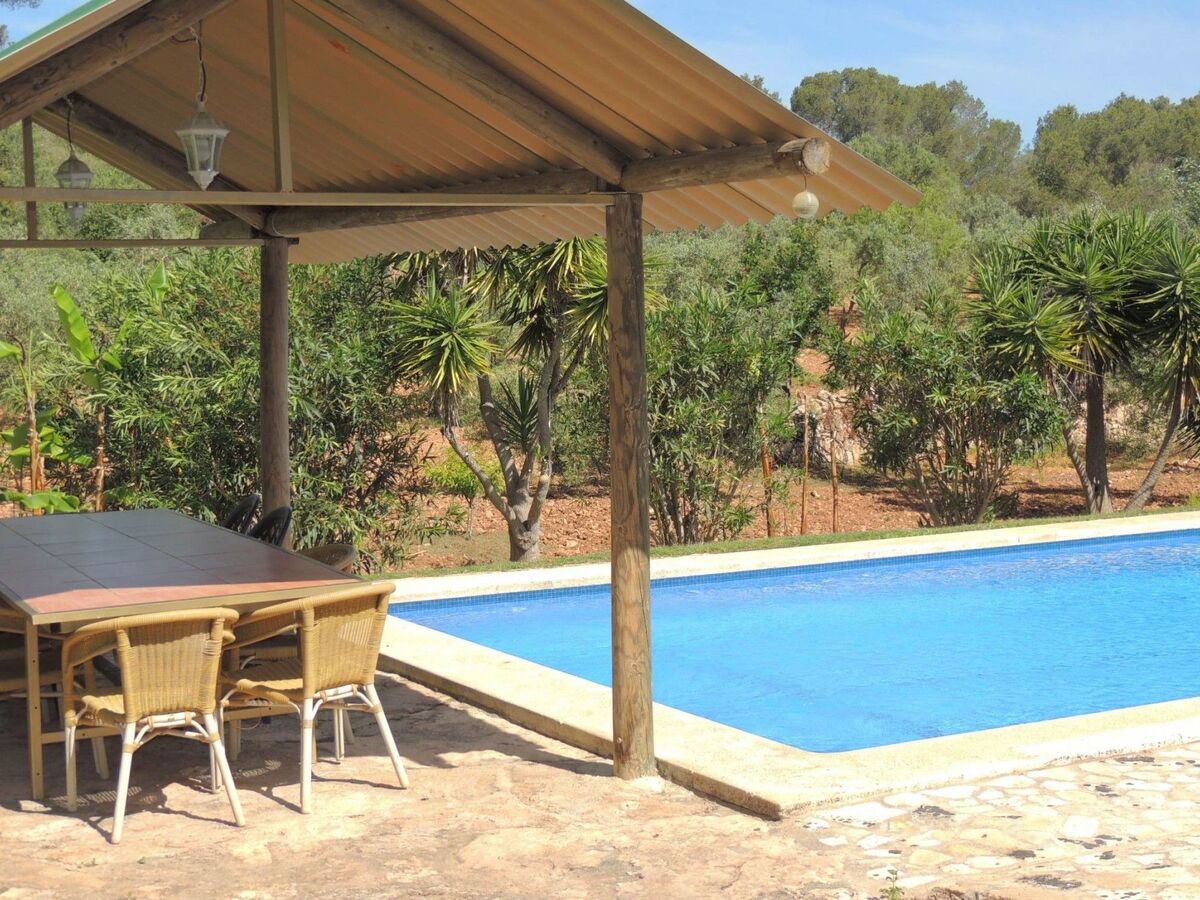 Finca El Bosque – 360 m² avec piscine 10x5 m à Bahia Azul - Photo 3