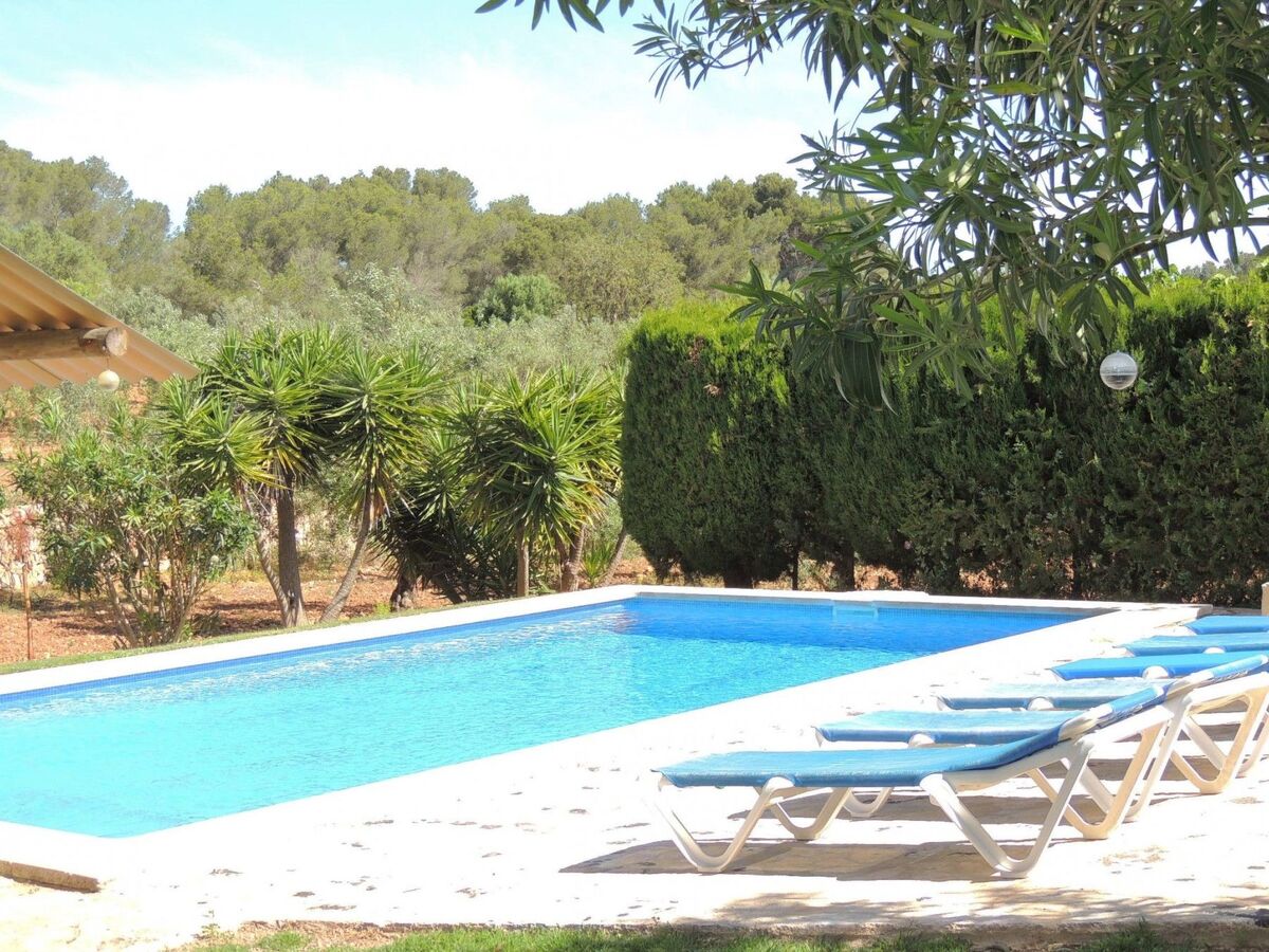 Finca El Bosque – 360 m² avec piscine 10x5 m à Bahia Azul - Photo 4