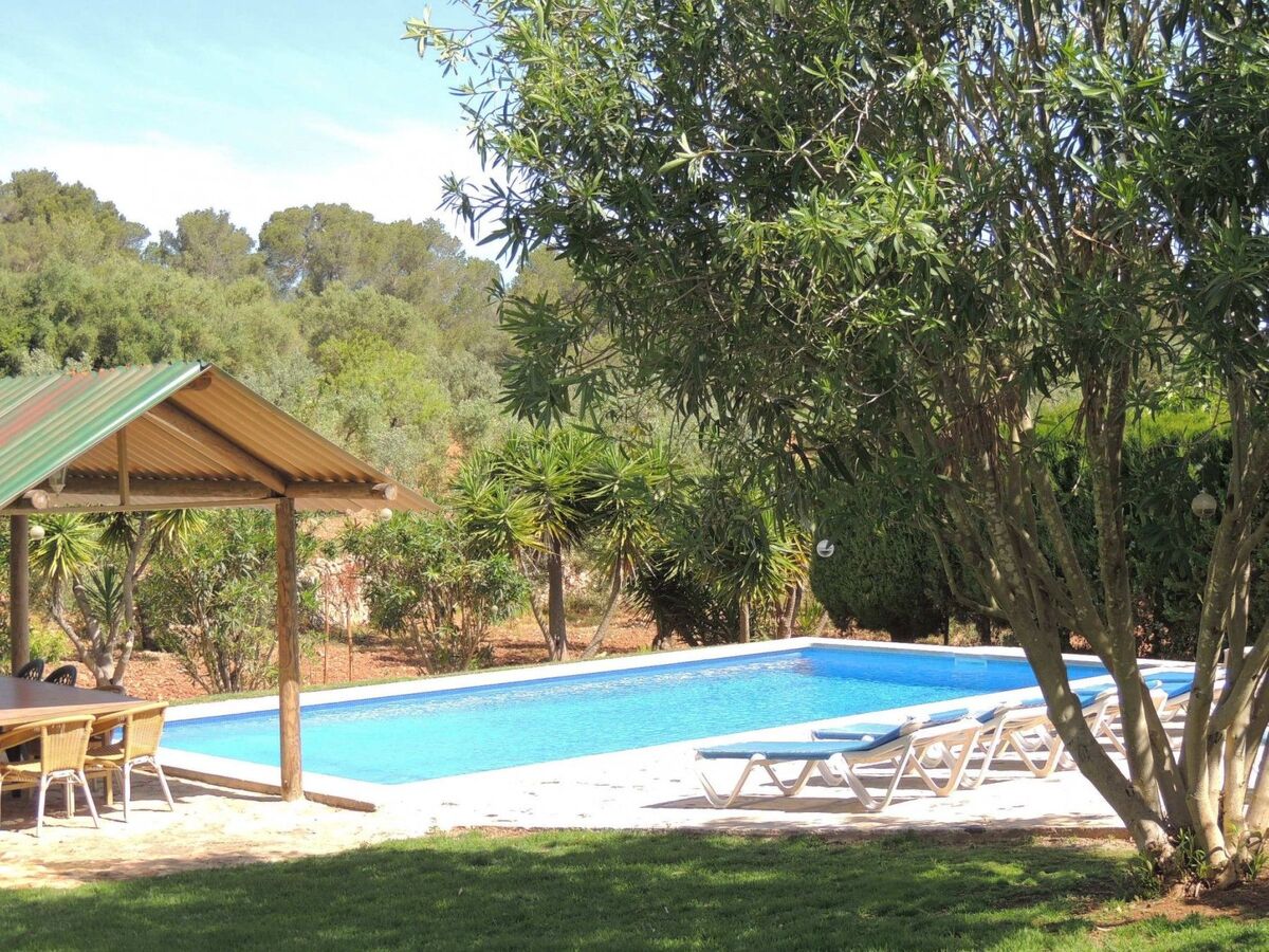 Finca El Bosque – 360 m² avec piscine 10x5 m à Bahia Azul - Photo 5