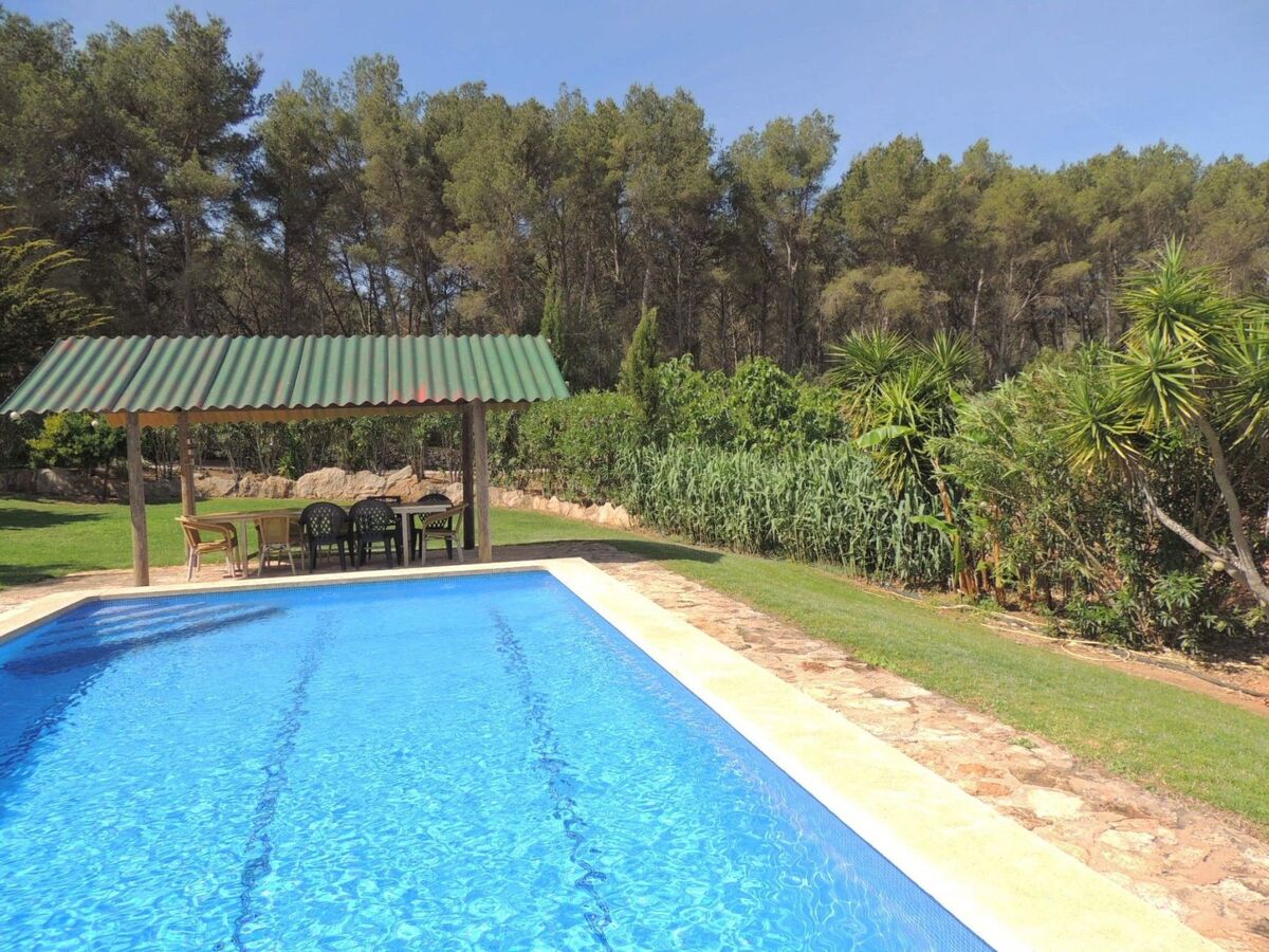 Finca El Bosque – 360 m² avec piscine 10x5 m à Bahia Azul - Photo 6