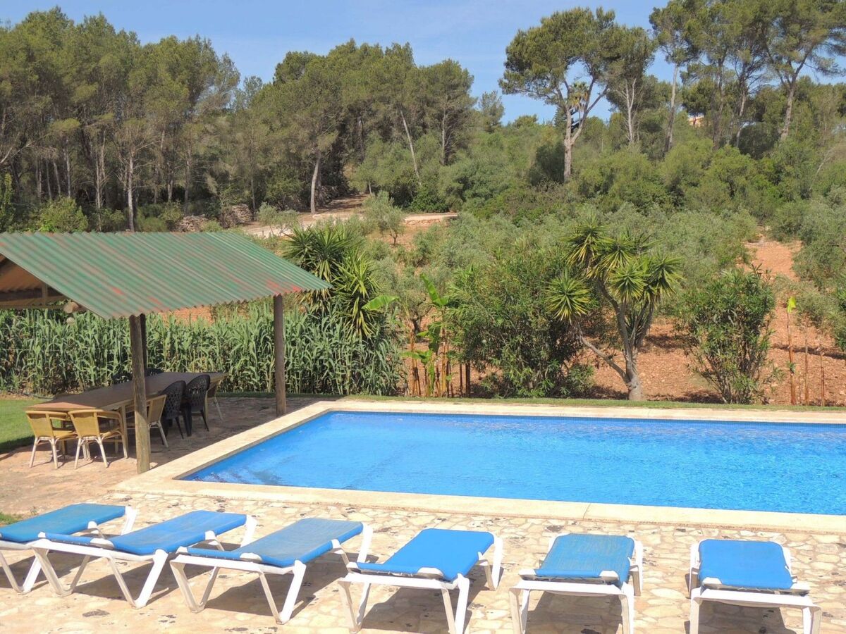 Finca El Bosque – 360 m² avec piscine 10x5 m à Bahia Azul - Photo 7