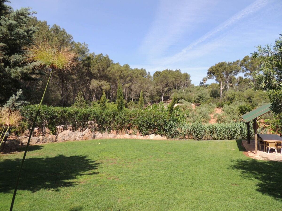 Finca El Bosque – 360 m² avec piscine 10x5 m à Bahia Azul - Photo 17