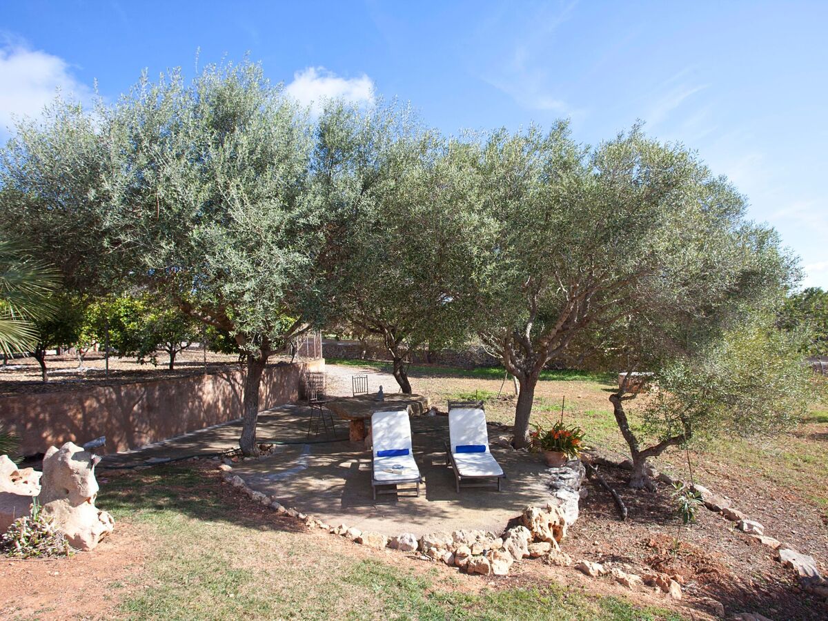 Finca Can Marines – Maison 8 pers. avec piscine à Santanyí - Photo 5
