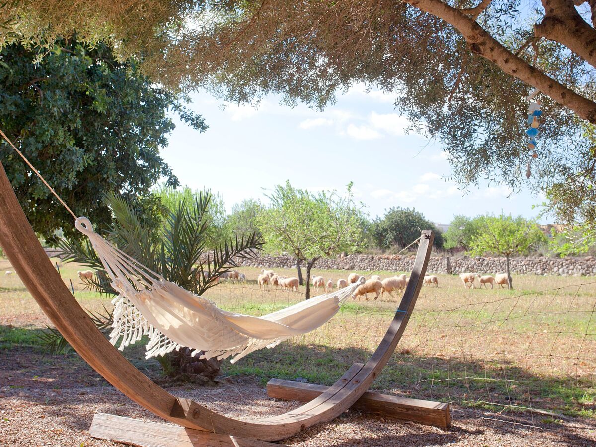 Finca Can Marines – Maison 8 pers. avec piscine à Santanyí - Photo 13