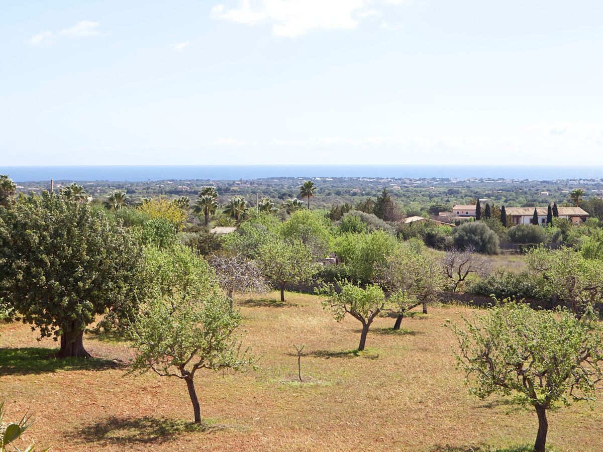 Finca Can Marines – Maison 8 pers. avec piscine à Santanyí - Photo 35
