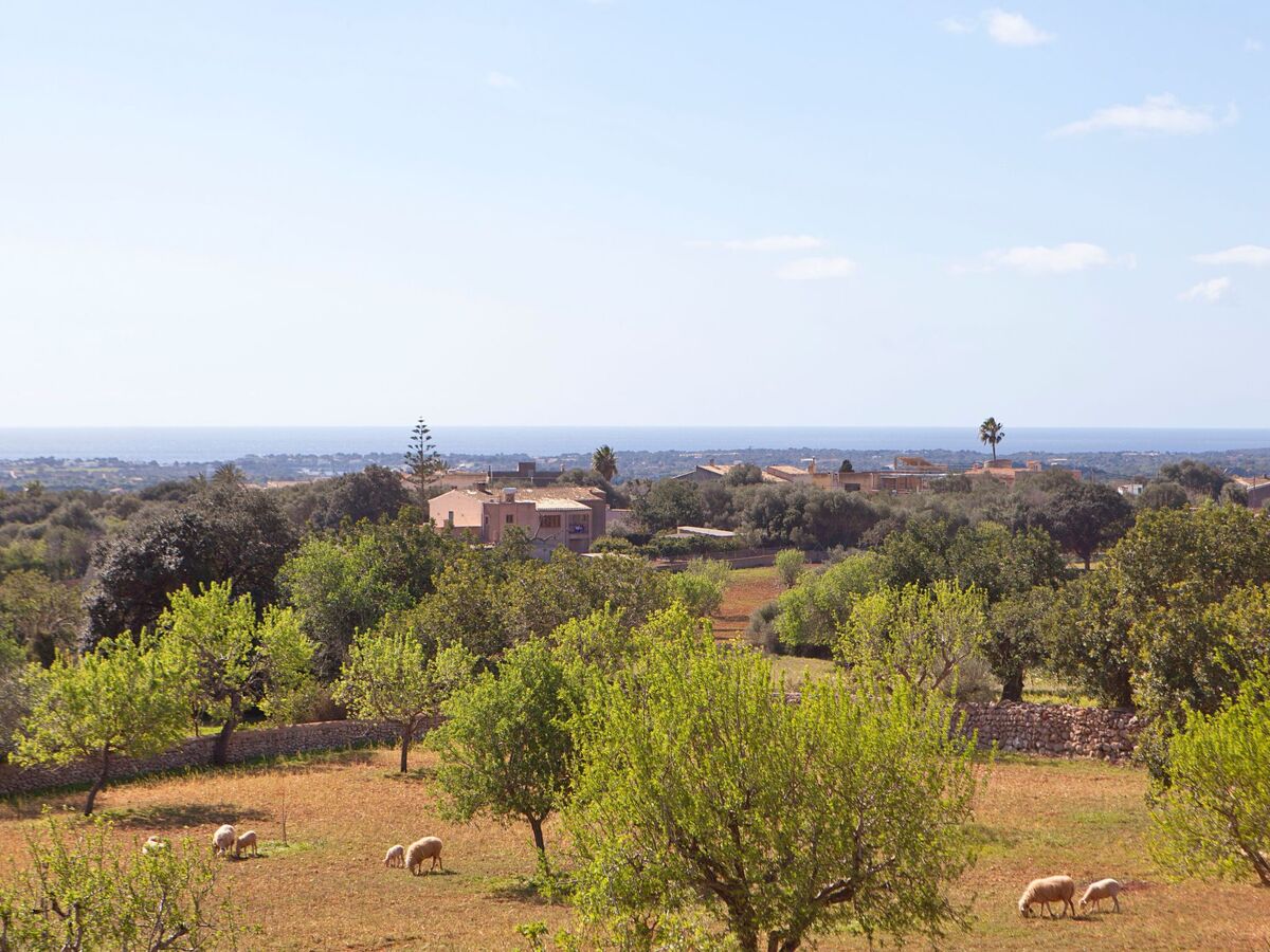 Finca Can Marines – Maison 8 pers. avec piscine à Santanyí - Photo 40