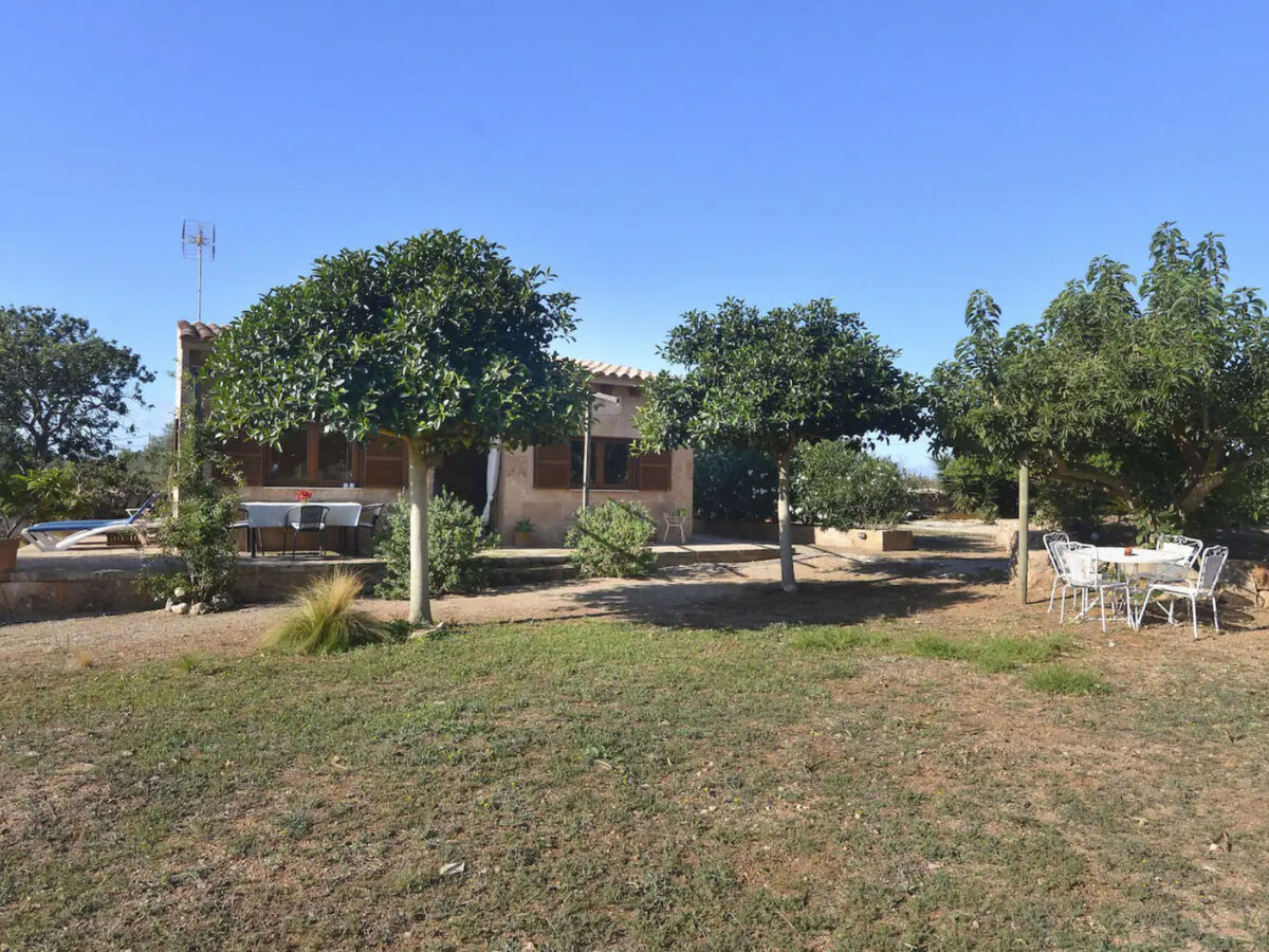 Finca Can Patito - Appartement 3 pers à Santanyí - Photo 1