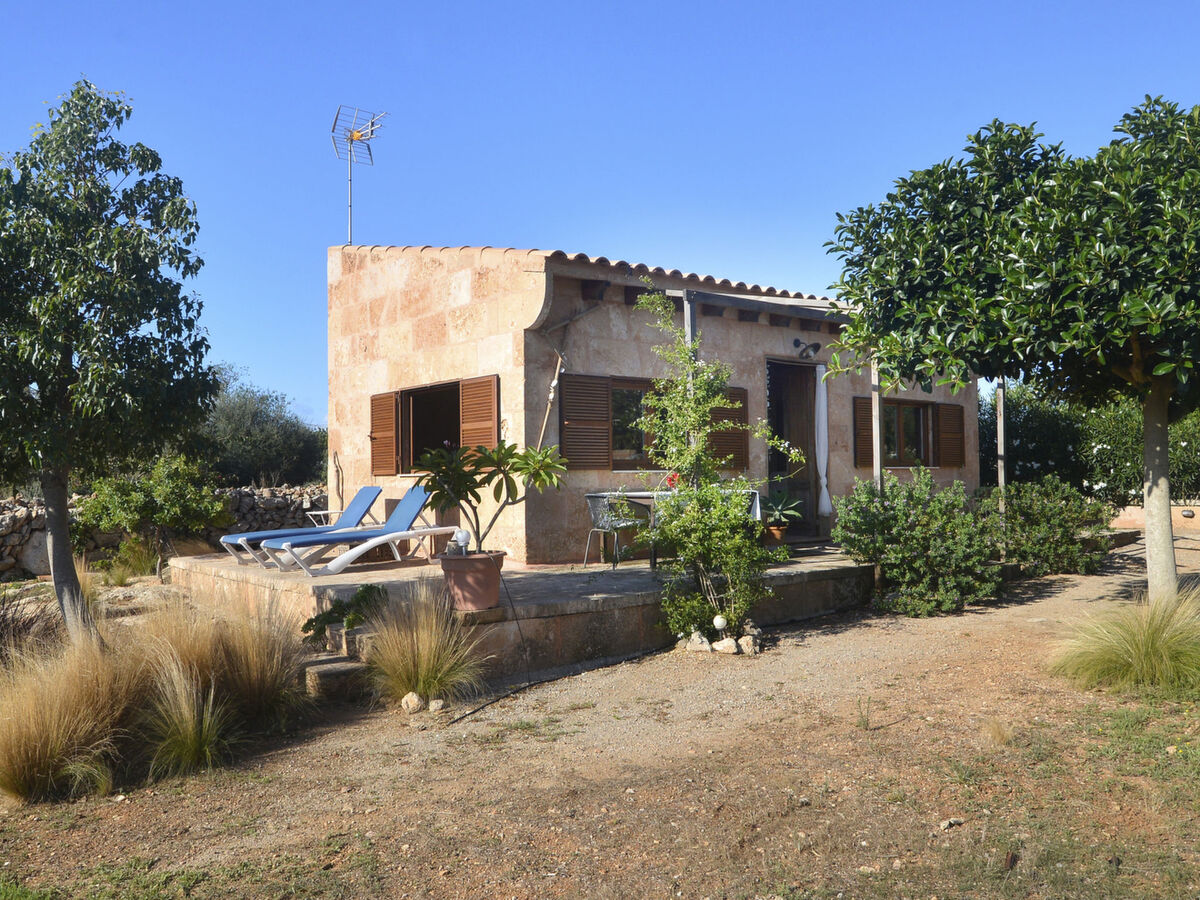 Finca Can Patito - Appartement 3 pers à Santanyí - Photo 10