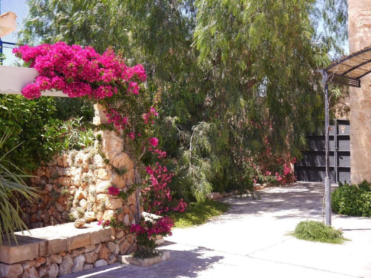 Casa 3 Leones – Maison 6 pers., piscine 13 m à Santanyí - Photo 37