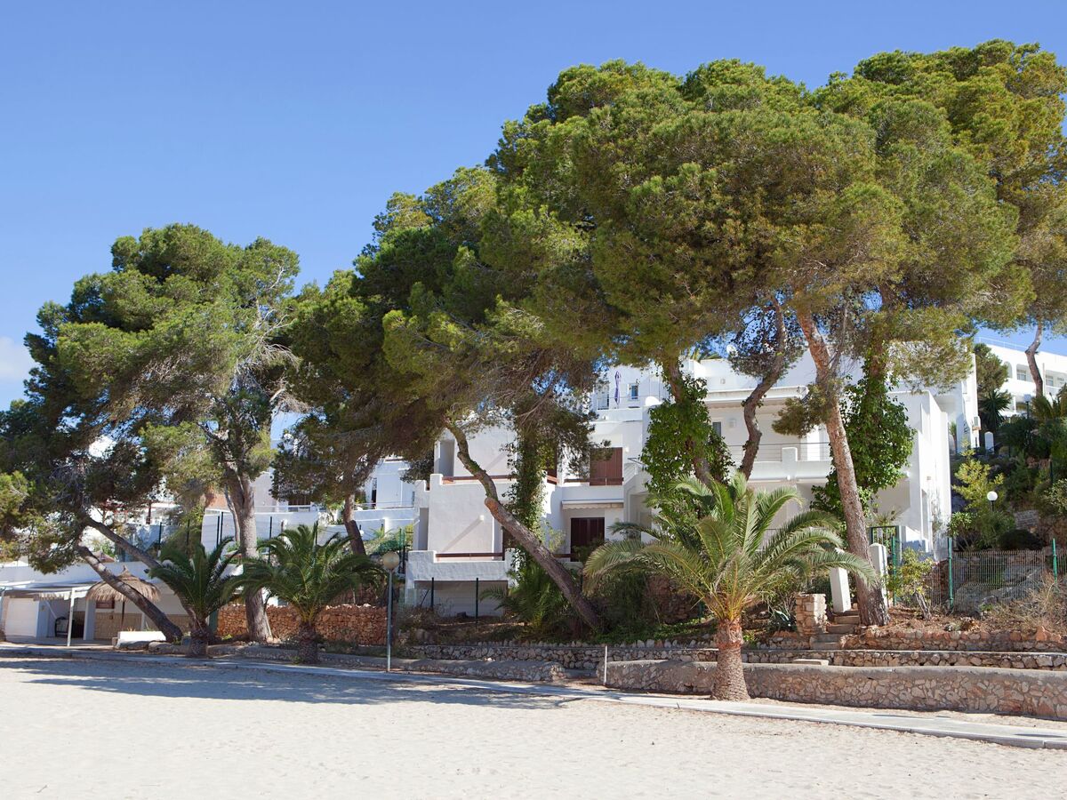Bungalow 3 chambres Cala d'Or, accès direct plage - Photo 5