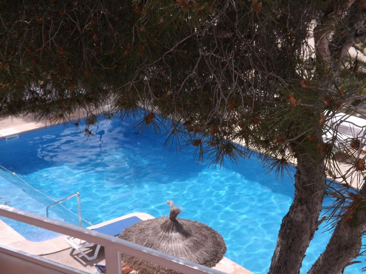 Appartement 2 chambres face à la plage à Cala d'Or - Photo 2