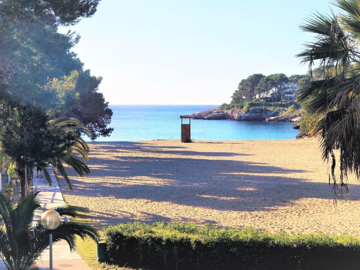 Appartement 2 chambres face à la plage à Cala d'Or - Photo 33