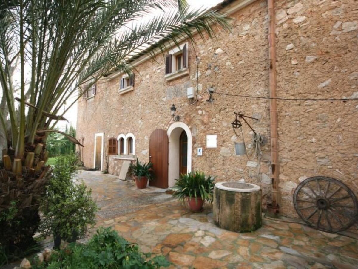 Finca Esporrassar – Maison de maître 450 m² à Cas Concos - Photo 5