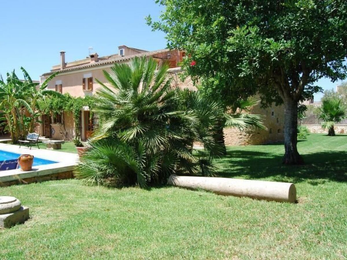 Finca Esporrassar – Maison de maître 450 m² à Cas Concos - Photo 11