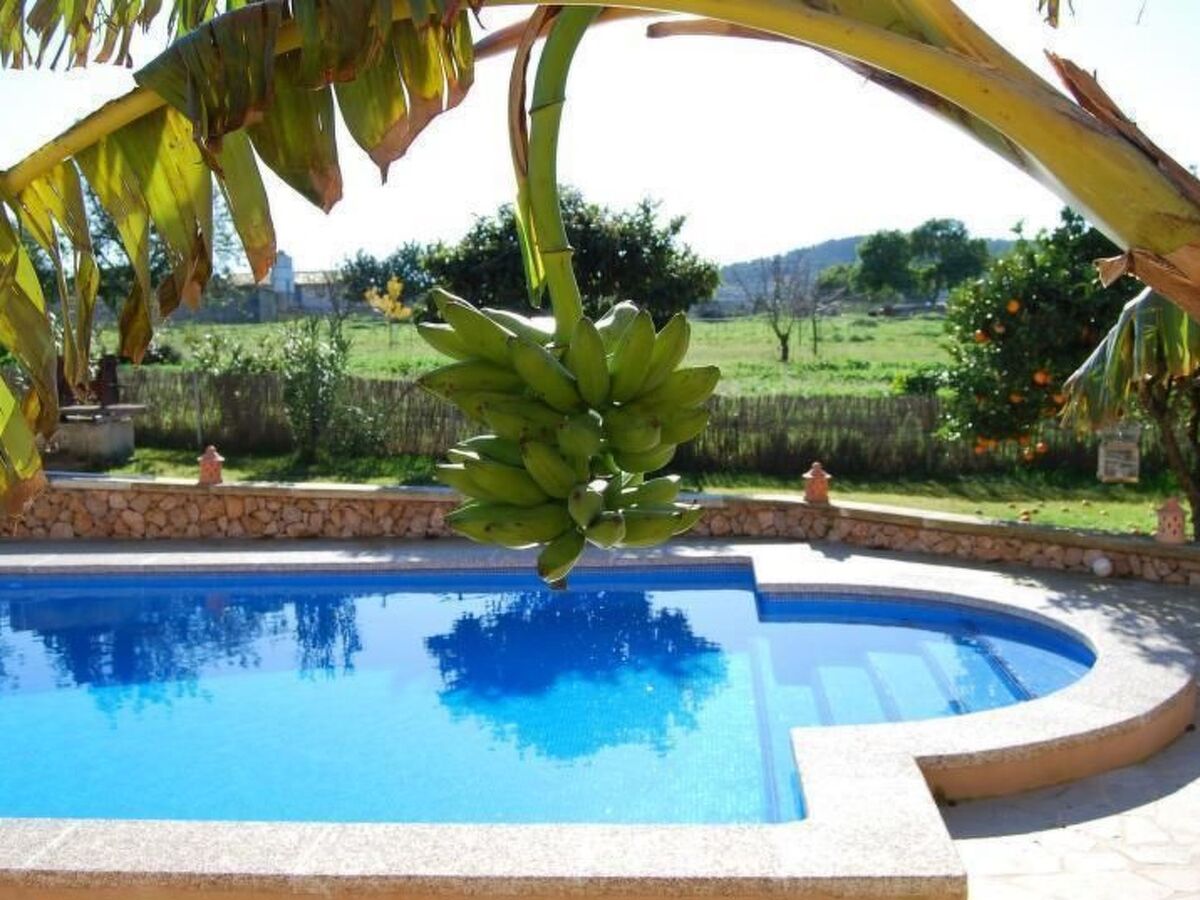 Finca Esporrassar – Maison de maître 450 m² à Cas Concos - Photo 13