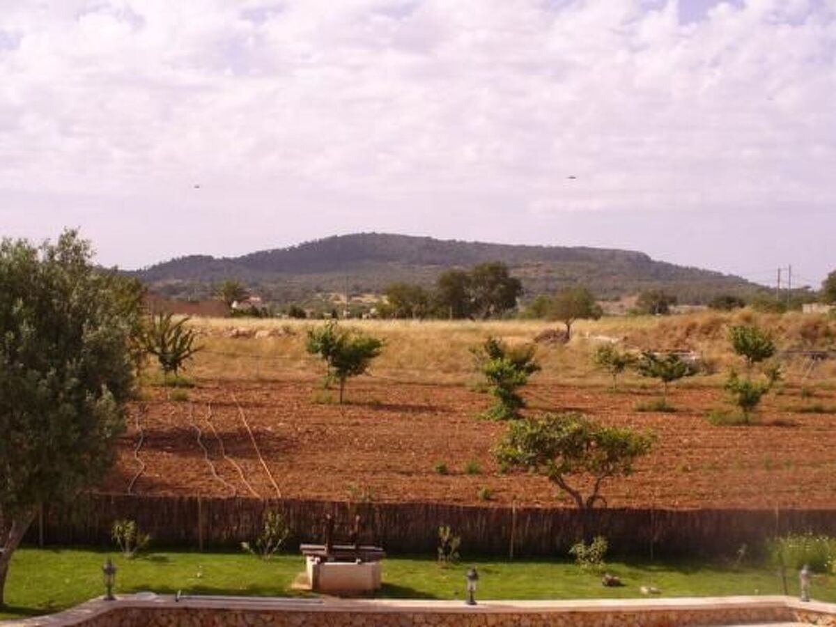 Finca Esporrassar – Maison de maître 450 m² à Cas Concos - Photo 15