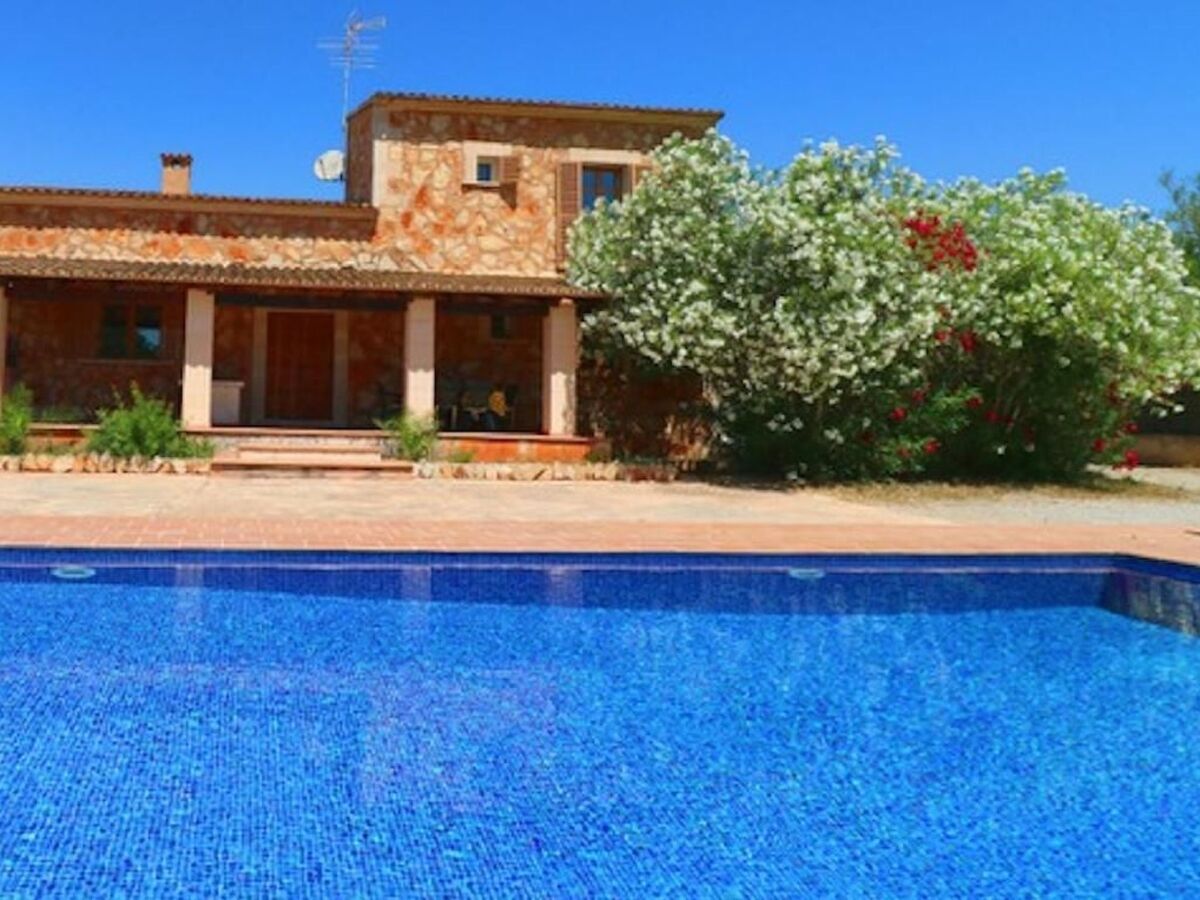 Finca Can Romero, maison 6P avec piscine à Campos - Photo 2