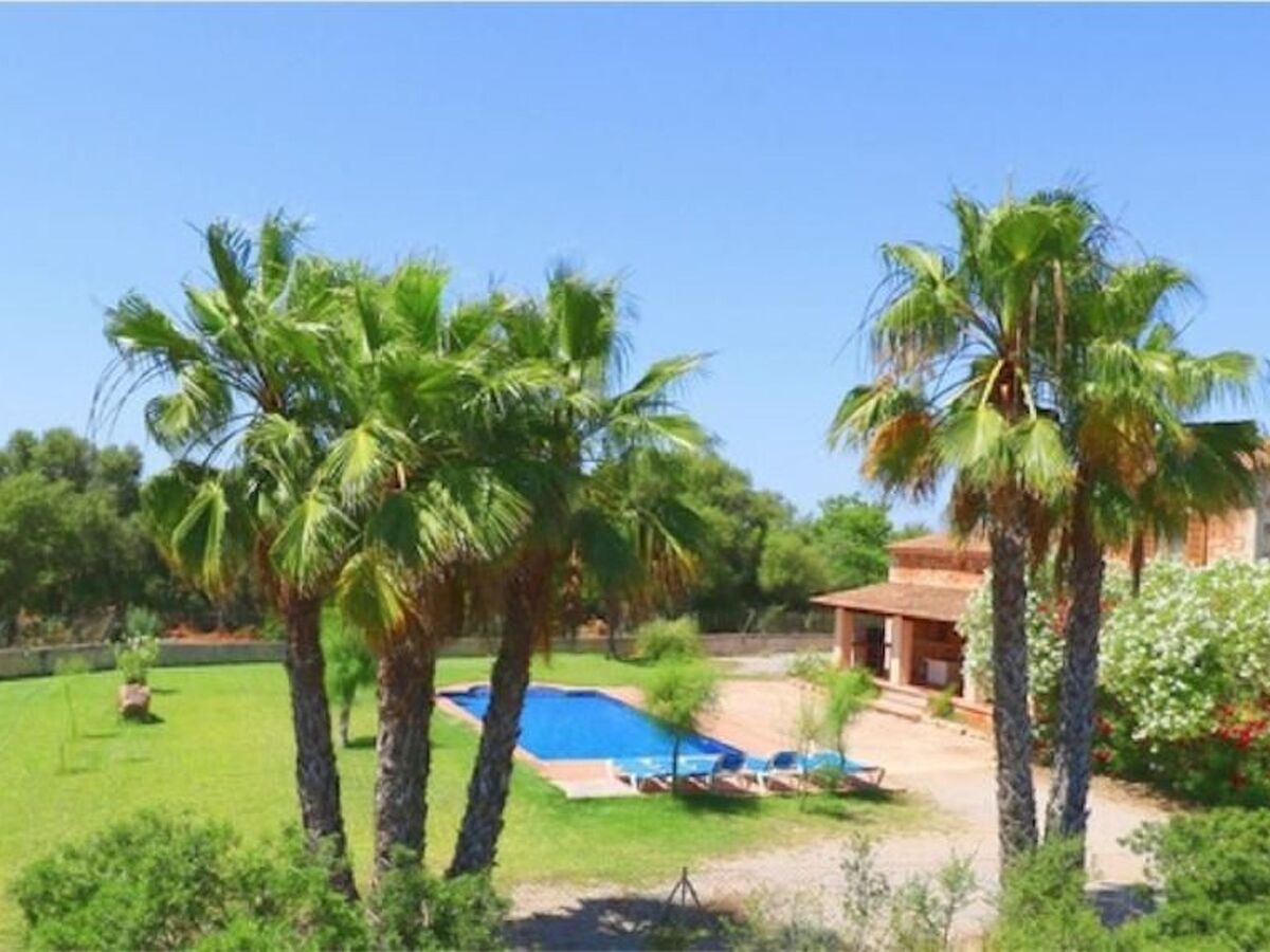 Finca Can Romero, maison 6P avec piscine à Campos - Photo 3