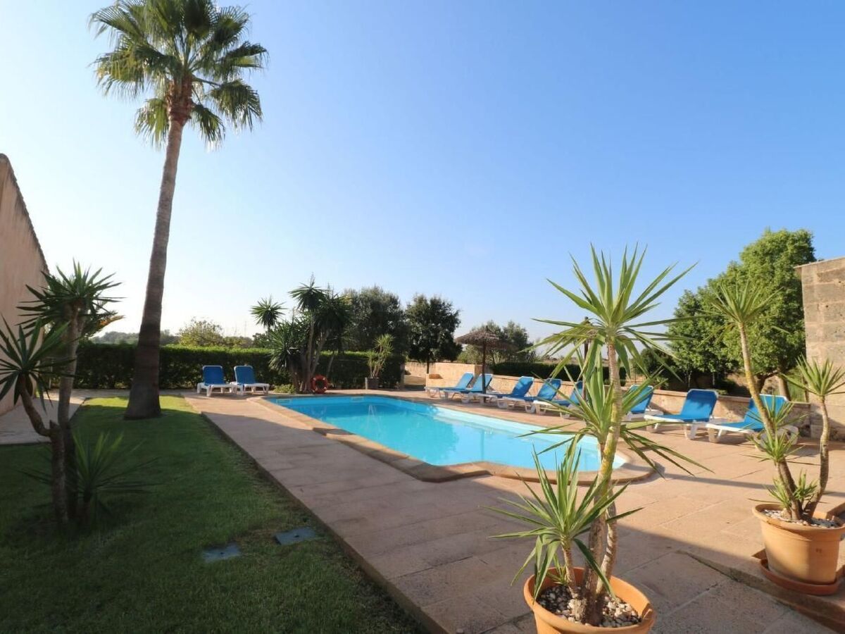 Finca Esmeralda - Maison 9 pers. piscine à Campos - Photo 21