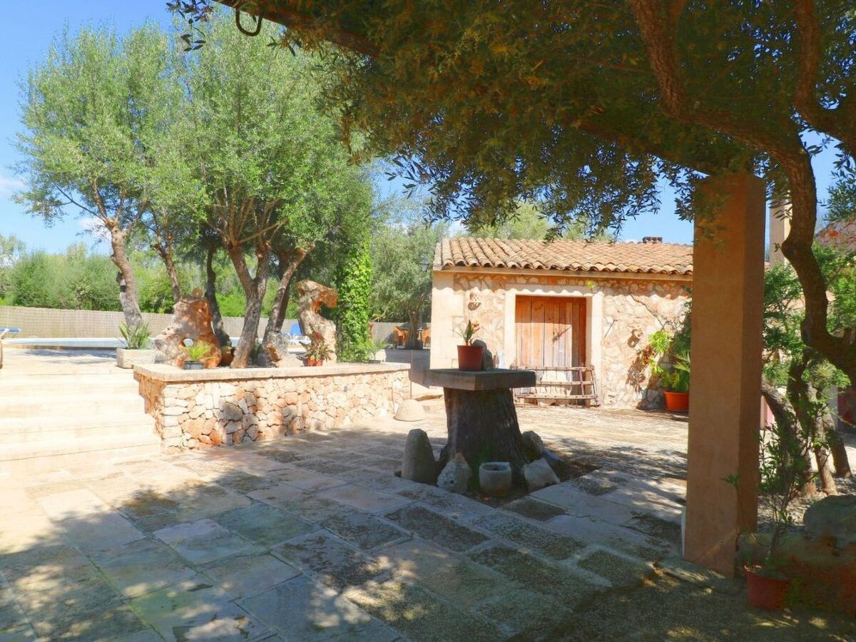 Finca Alfabia Campos – Maison 3 chambres avec piscine - Photo 4