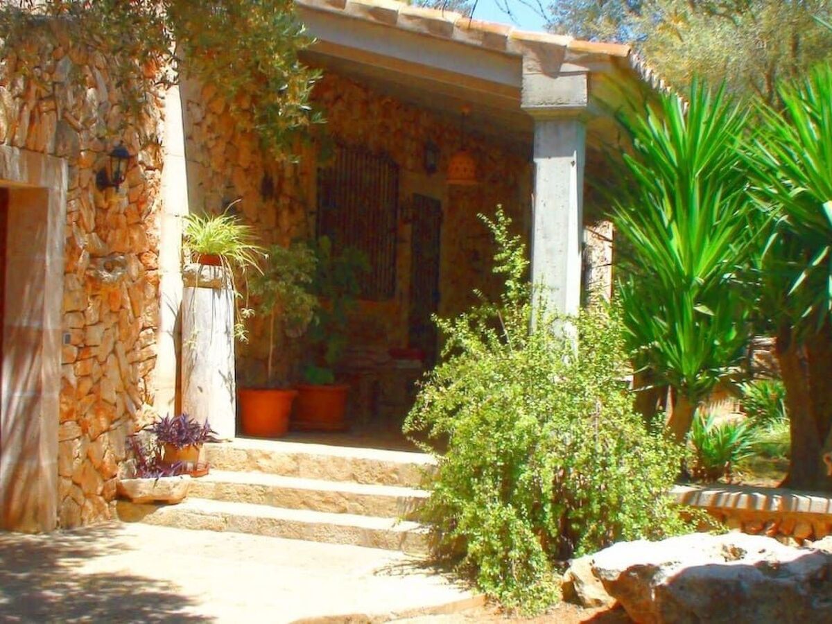 Finca Alfabia Campos – Maison 3 chambres avec piscine - Photo 5