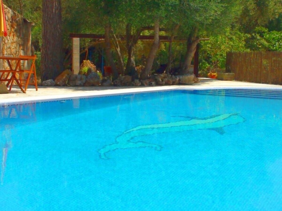 Finca Alfabia Campos – Maison 3 chambres avec piscine - Photo 6