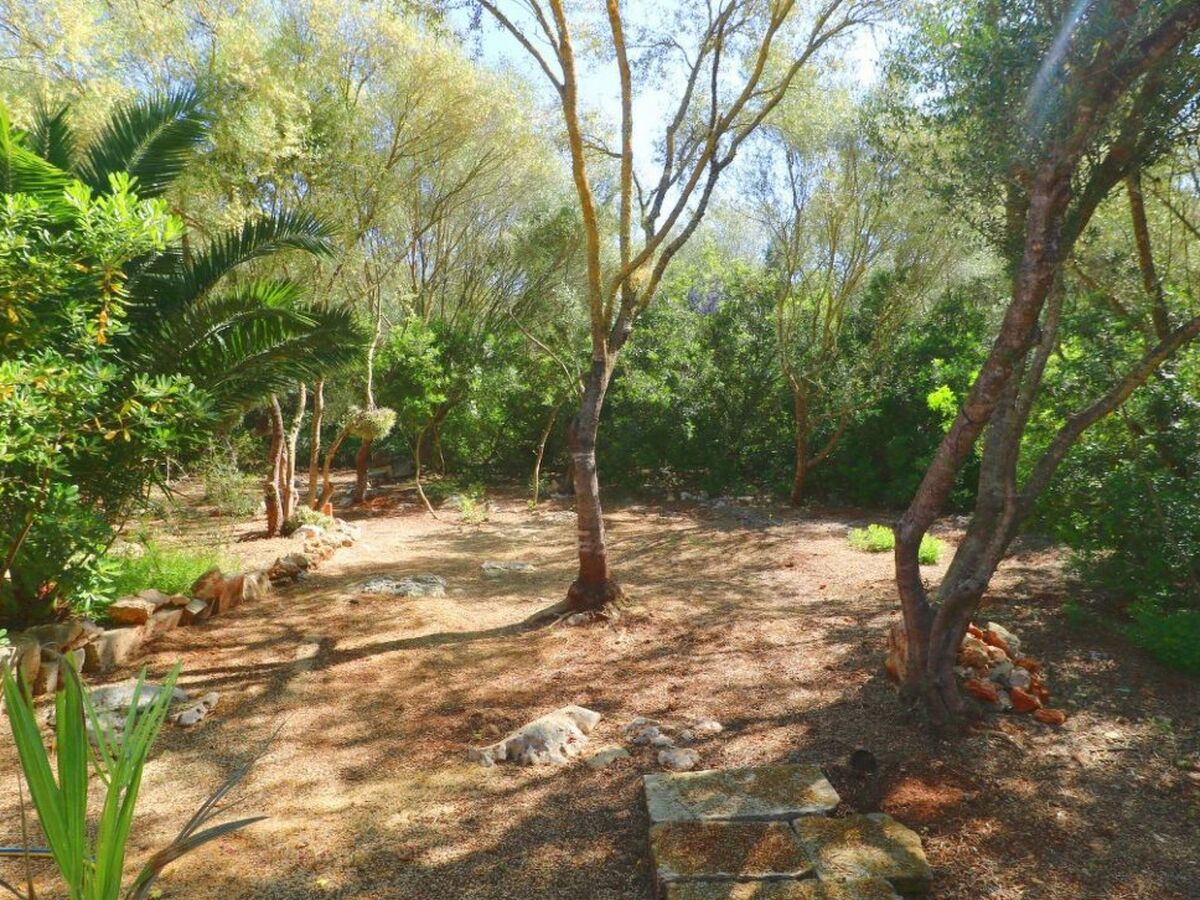Finca Alfabia Campos – Maison 3 chambres avec piscine - Photo 31
