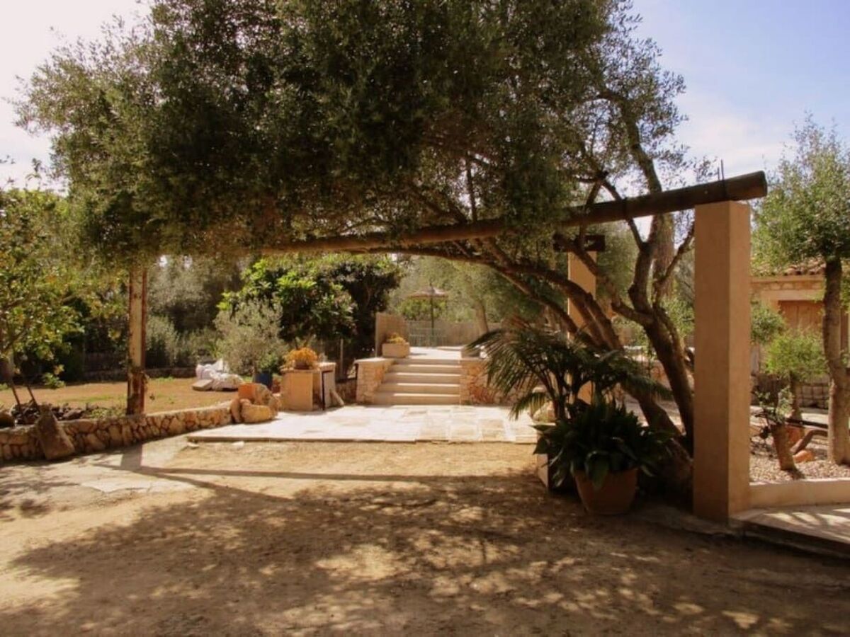 Finca Alfabia Campos – Maison 3 chambres avec piscine - Photo 32