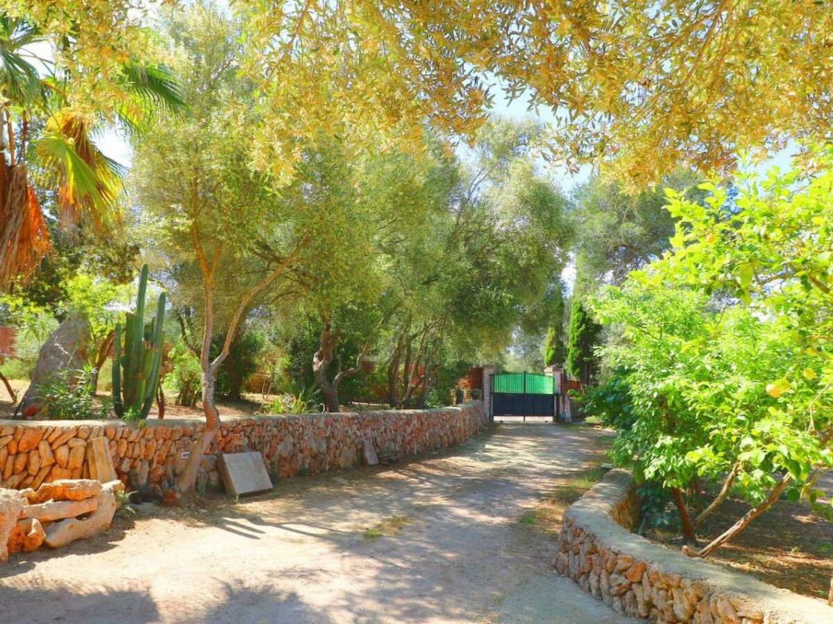 Finca Alfabia Campos – Maison 3 chambres avec piscine - Photo 36
