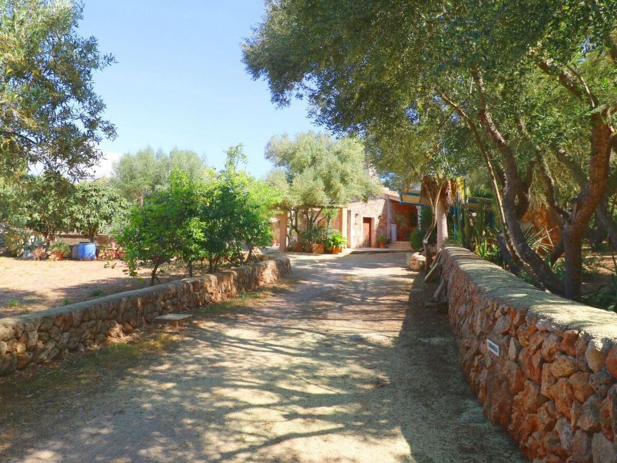 Finca Alfabia Campos – Maison 3 chambres avec piscine - Photo 37
