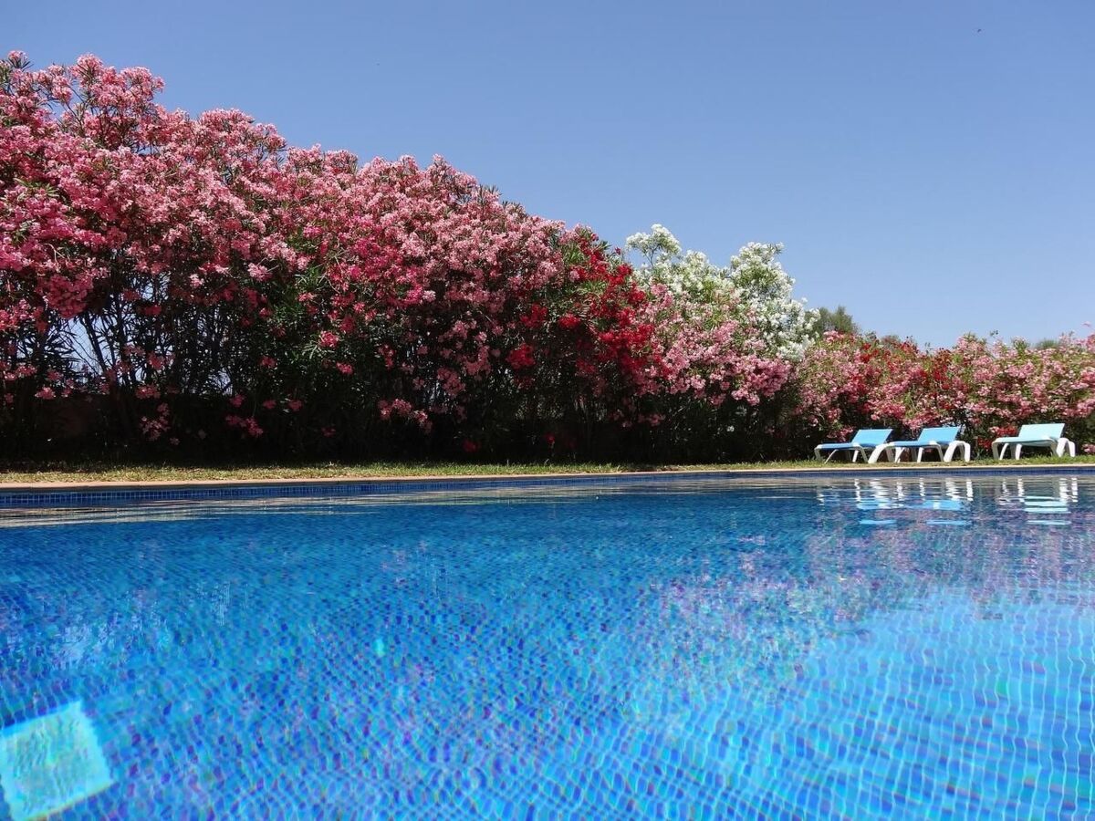 Finca Can Algarrobo – Maison mallorquine avec piscine - Photo 6