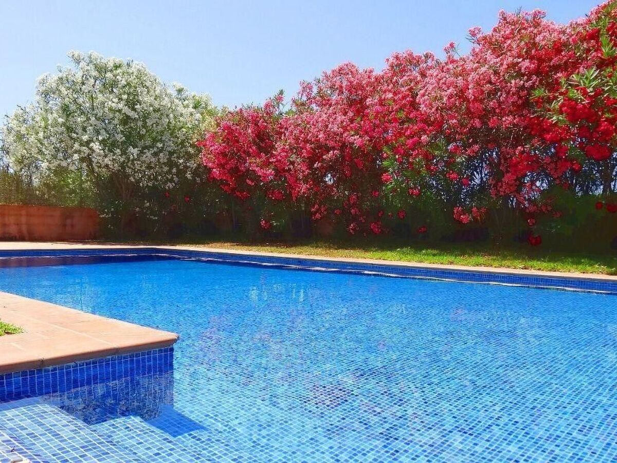 Finca Can Algarrobo – Maison mallorquine avec piscine - Photo 7