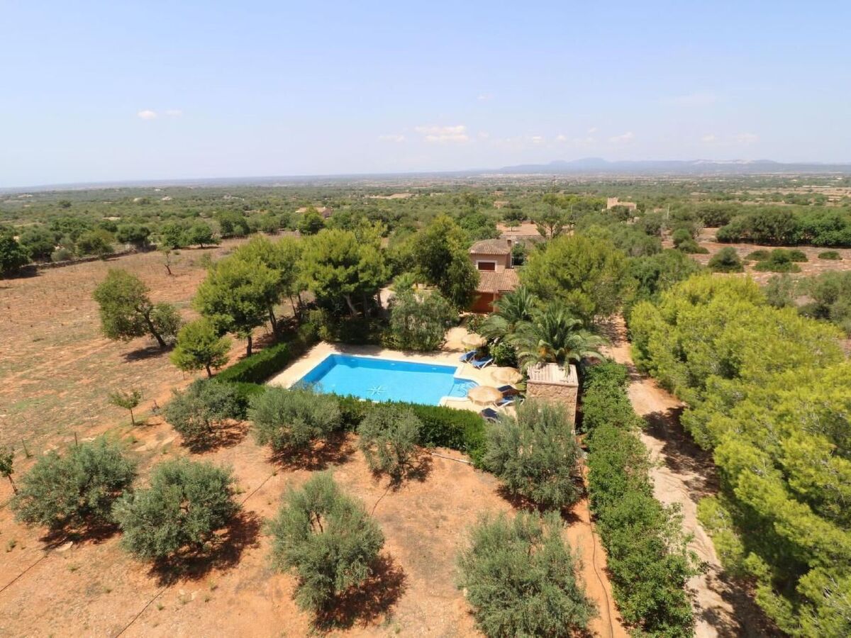 Finca Camaron - Maison 6 pers. avec piscine à Campos - Photo 2