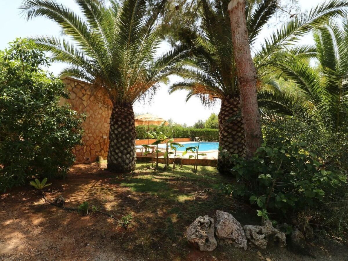 Finca Camaron - Maison 6 pers. avec piscine à Campos - Photo 3