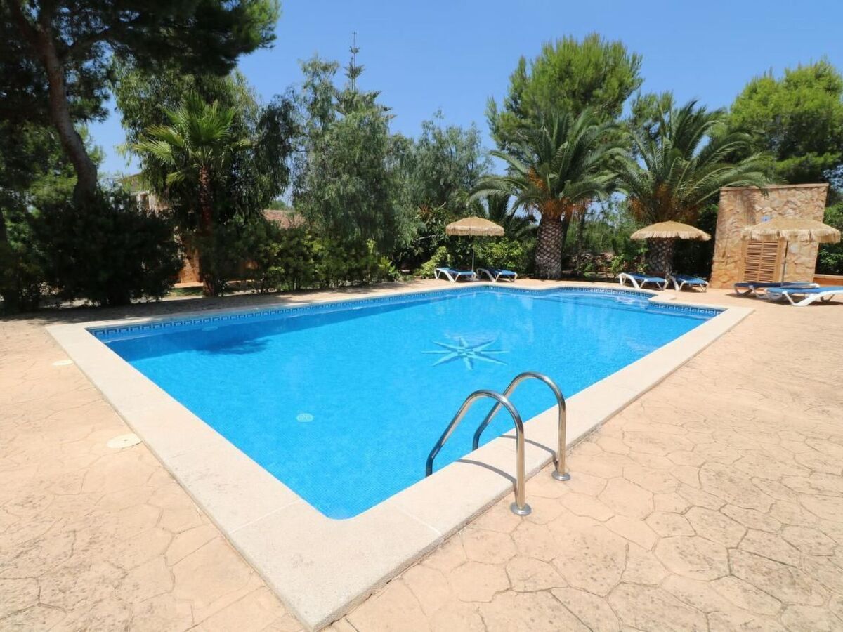 Finca Camaron - Maison 6 pers. avec piscine à Campos - Photo 5