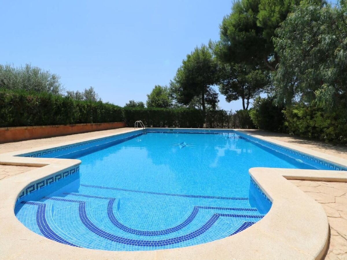 Finca Camaron - Maison 6 pers. avec piscine à Campos - Photo 10