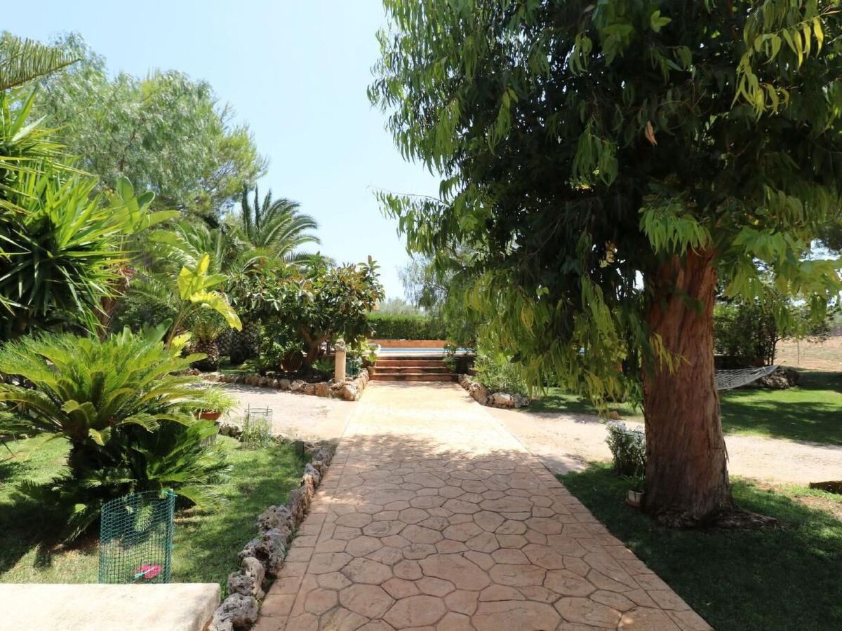 Finca Camaron - Maison 6 pers. avec piscine à Campos - Photo 30