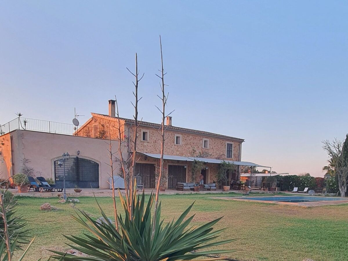 Finca Son Fred, maison 6 personnes à Campos - Photo 2