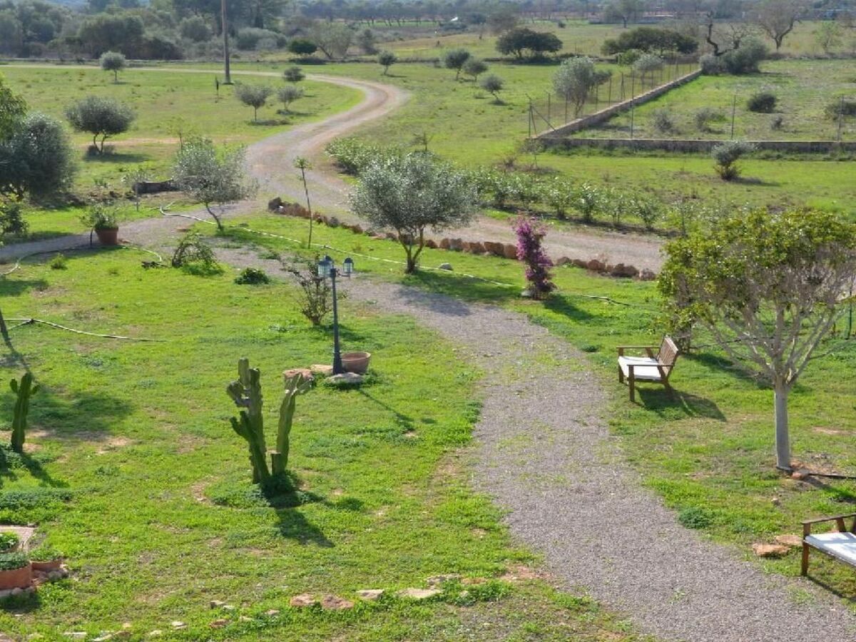 Finca Son Fred, maison 6 personnes à Campos - Photo 5