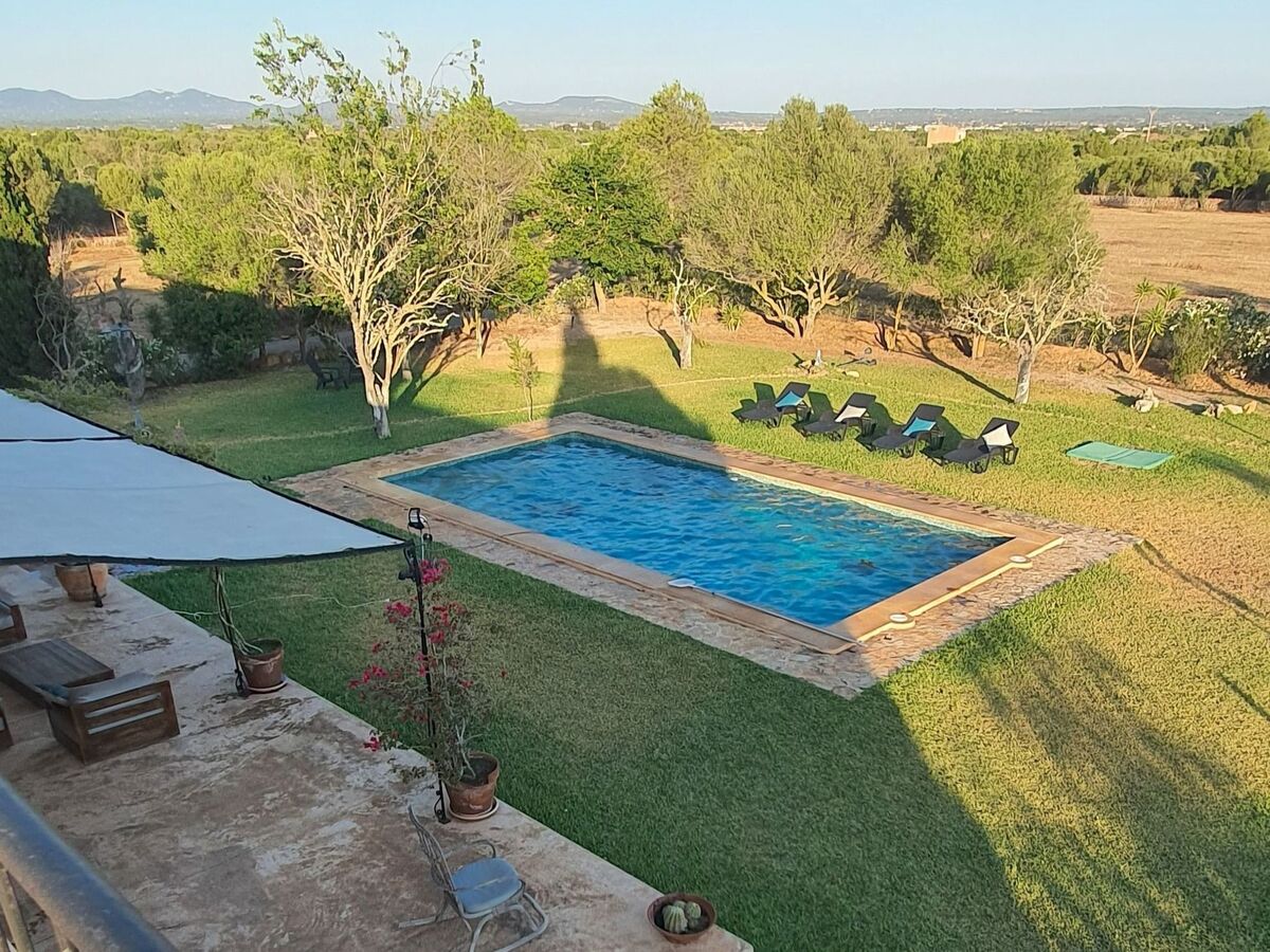Finca Son Fred, maison 6 pers. avec piscine à Campos - Photo 3