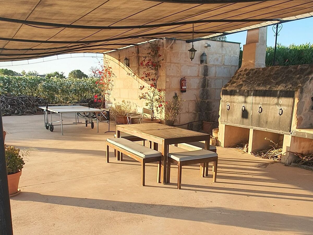 Finca Son Fred, maison 6 pers. avec piscine à Campos - Photo 17