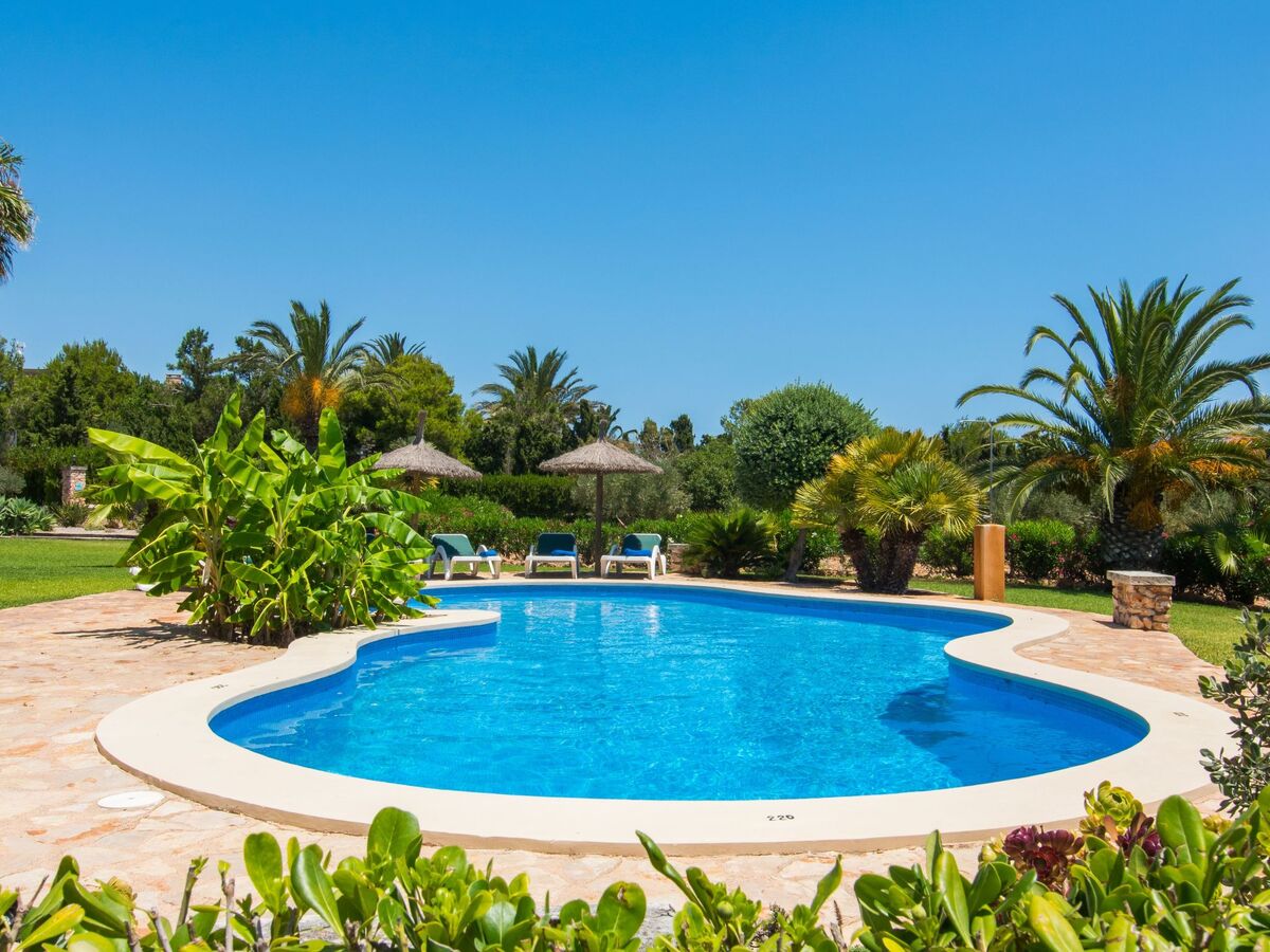 Finca Majorquine avec piscine et terrasse couverte - Photo 5