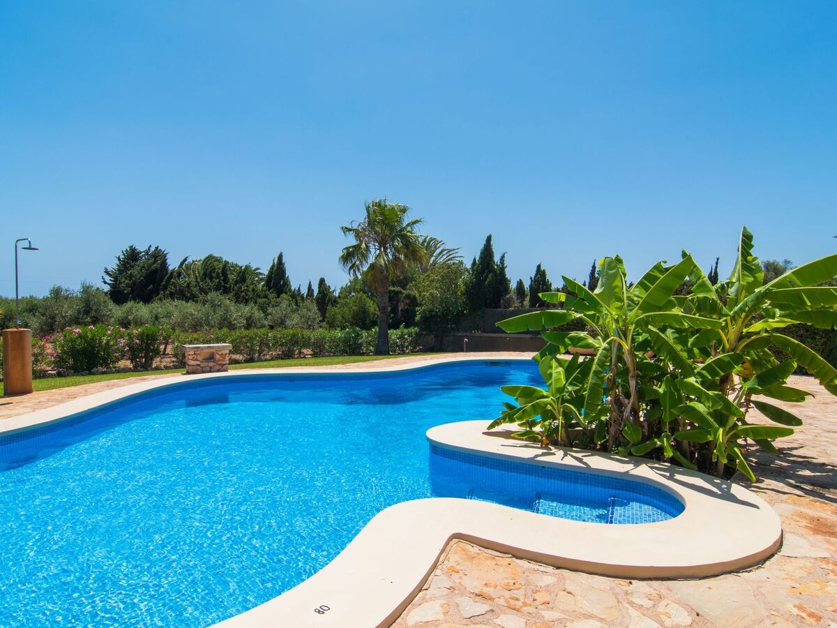 Finca Majorquine avec piscine et terrasse couverte - Photo 6