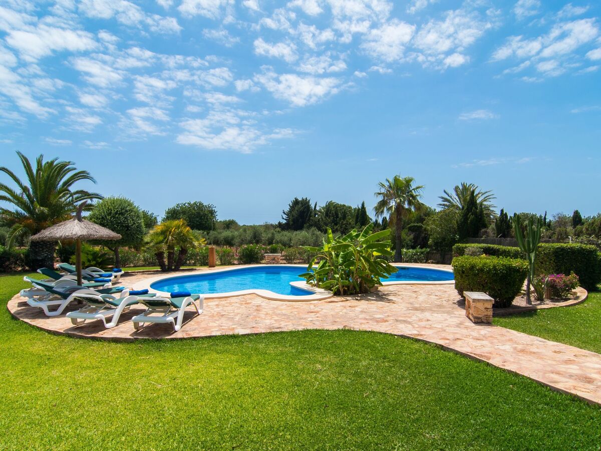 Finca Majorquine avec piscine et terrasse couverte - Photo 7