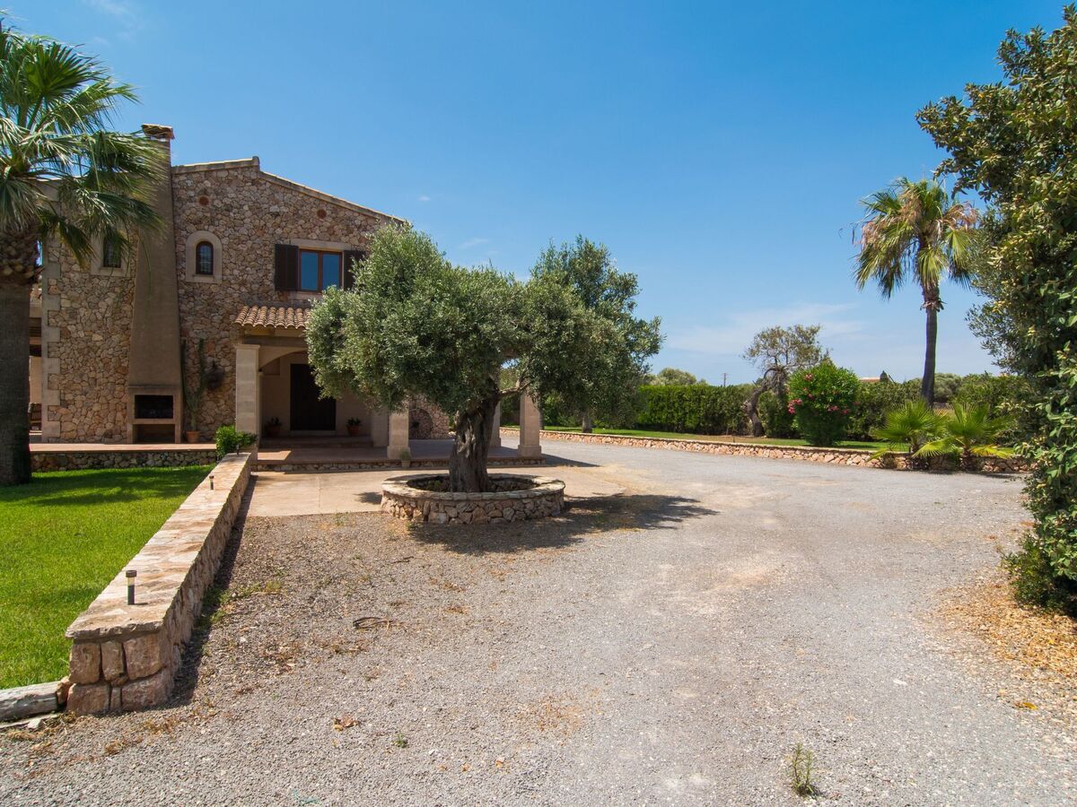 Finca Majorquine avec piscine et terrasse couverte - Photo 17